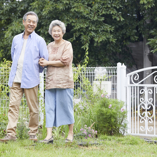 一体誰が ある日玄関に出現した不気味な鉢植えの謎 毎日が発見ネット