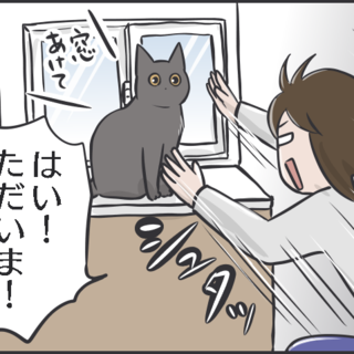 下僕生活 は本望です 猫の希望 に応えることが私の幸せであり 癒しなのです フニャコ 毎日が発見ネット