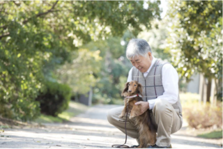 愛犬と知らない町を探検...気づけば歩数が2万歩に！ 私が見つけた最高の健康習慣【みなさんの体験記】