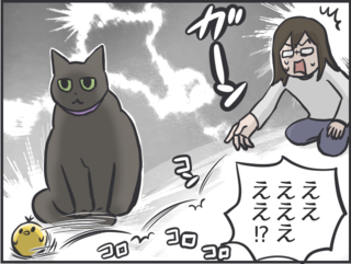 【2匹の黒猫とのくらし】「ああ、どうして」お気に入りだったおもちゃも「飽きる」猫たち／フニャコ