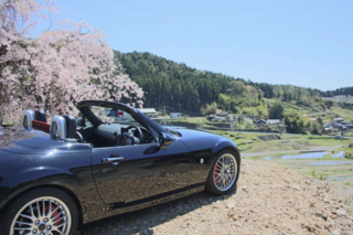 次に乗る車はまさかのオープンカー!? 還暦を迎えて人生の楽しみを再発見