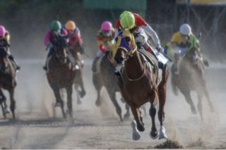 頭を使えば使うほど...負ける!? 一筋縄ではいかない競馬予想。勝率が上がる頼みの綱は...