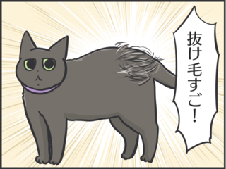 【2匹の黒猫とのくらし】ちょっと撫でただけで大量の抜け毛！ 換毛期はブラッシングも一苦労／フニャコ