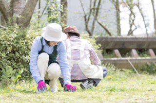 「少しは手伝って！」家事に無関心だった夫。それが、たった2文字の言葉で変わるなんて...