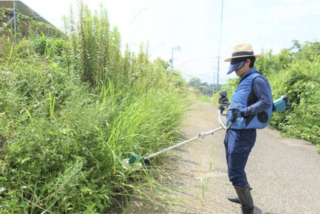 田舎は怖い...「自分の土地の草刈りはやるな！」知らない男性にいきなり怒鳴られ...この対応は酷すぎる