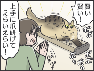 呆れるほどの猫バカっぷり！猫は一人暮らしの母の生活を豊かにしてくれる良き相棒／フニャコ