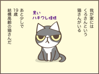 急に食欲のなくなった高齢猫...ご飯をあげるときに助かった身近なもの／しまえもん