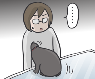 病院嫌いな愛猫の「診察スタイル」は...飼い主に助けを求める姿が可愛い／フニャコ