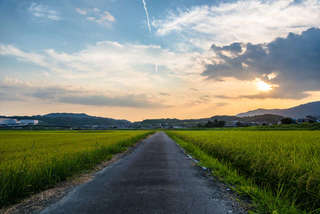 車が必須の田舎暮らし。30年後、高齢者になった私はここでちゃんと暮らしていける？／キッチン夫婦