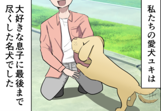 これが人間と犬の深い絆...最期まで息子に尽くしてくれた愛犬に涙【ショート漫画】