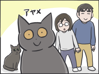 猫たちは普段どんなことを考えているの？ 猫目線で想像してみると...愛おしすぎる！／フニャコ