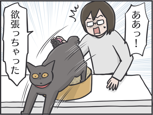 【2匹の黒猫とのくらし】ちょっと撫でただけで大量の抜け毛！ 換毛期はブラッシングも一苦労／フニャコ 換毛期4.PNG