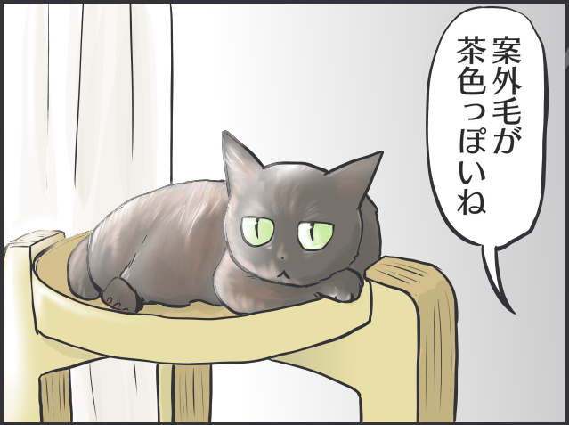 「猫かと思ったら物」「夜は闇に紛れる」2匹の黒猫と暮らす私が見つけた「黒猫あるある」／フニャコ 黒猫の魅力5.PNG