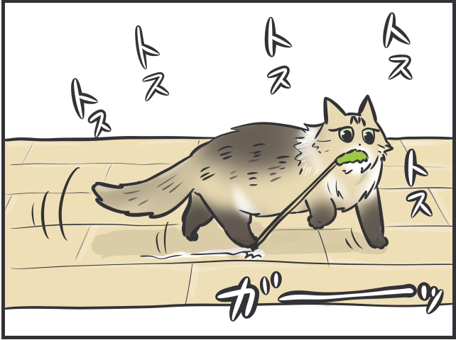 甘えモードと攻撃モードの落差よ...！いじらしくもツンデレな実家の猫のこと／フニャコ ツンデレマロと母7.PNG