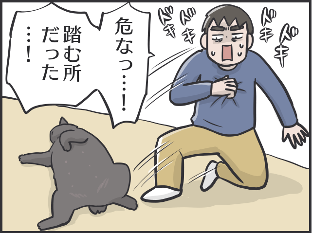 「猫かと思ったら物」「夜は闇に紛れる」2匹の黒猫と暮らす私が見つけた「黒猫あるある」／フニャコ 黒猫の魅力2.PNG