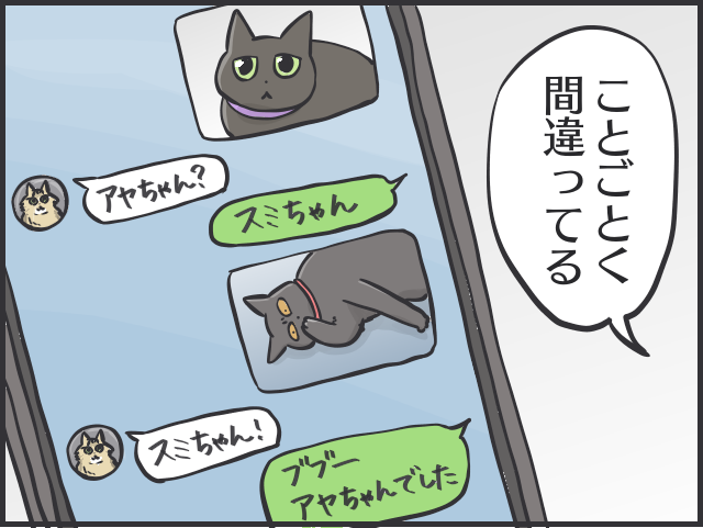 黒猫はみんな同じ顔!? 一緒に住む家族だからこそわかる「うちの子の見分け方」／フニャコ 黒猫の見分け8.PNG
