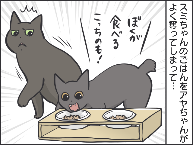 シニア猫の分までフードを食べちゃう若猫。食事の部屋を分けてみたら...⁉／フニャコ 1.PNG
