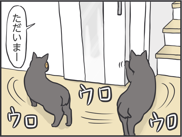 猫たちに一番愛情を注いでいるのは私なのに！夫と私への「扱いの格差」が納得いかない！／フニャコ 猫に甘えてもらえない私4.PNG