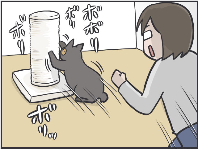 「愛猫が喜ぶ動画は...」「追いかけっこ終了の合図は...」細かすぎる愛猫のルーティン／フニャコ 猫とのルーティン6.PNG