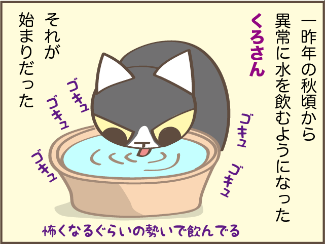 あまりに水を飲むしトイレに行く...腎臓病になった愛猫のトイレ問題／しまえもん 3-1-2.png