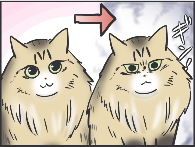 「猫はクール」と言われるけど...猫だって実は表情豊かだと思う理由／フニャコ 猫の表情4.PNG