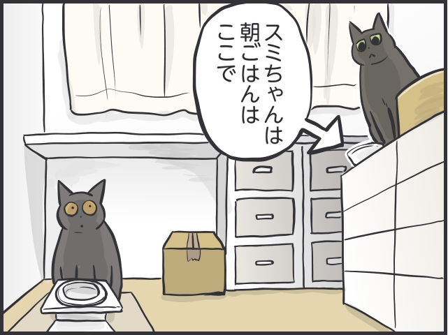 「愛猫が喜ぶ動画は...」「追いかけっこ終了の合図は...」細かすぎる愛猫のルーティン／フニャコ 猫とのルーティン3.PNG