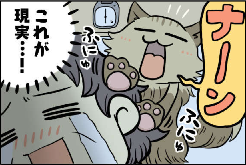 「猫との暮らし」の現実。朝6時に肉球でムニムニで目覚まし...ああ、幸せ【漫画】