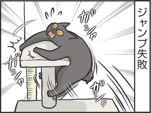 「猫はクール」と言われるけど...猫だって実は表情豊かだと思う理由／フニャコ 猫の表情3.PNG