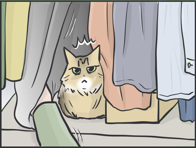 甘えモードと攻撃モードの落差よ...！いじらしくもツンデレな実家の猫のこと／フニャコ ツンデレマロと母3.PNG