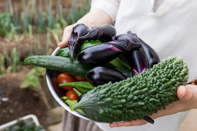 食費の節約のため40代で再挑戦した「家庭菜園」。ズボラな私でも「育てられる野菜」を見極めた結果...⁉ 48.jpg