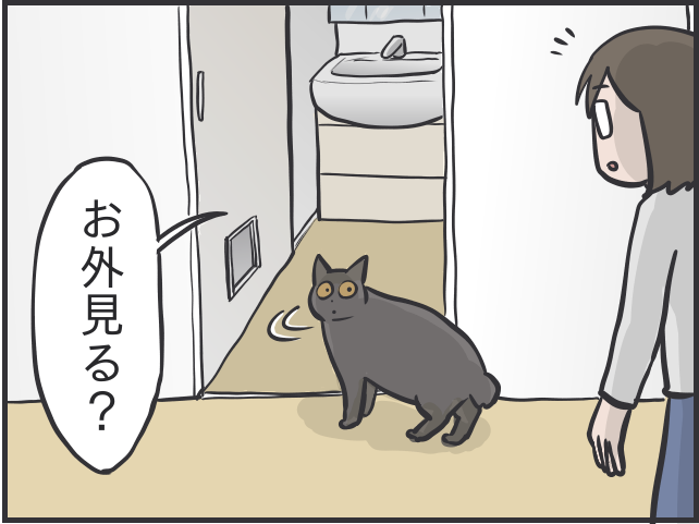 「愛猫が喜ぶ動画は...」「追いかけっこ終了の合図は...」細かすぎる愛猫のルーティン／フニャコ 猫とのルーティン8.PNG