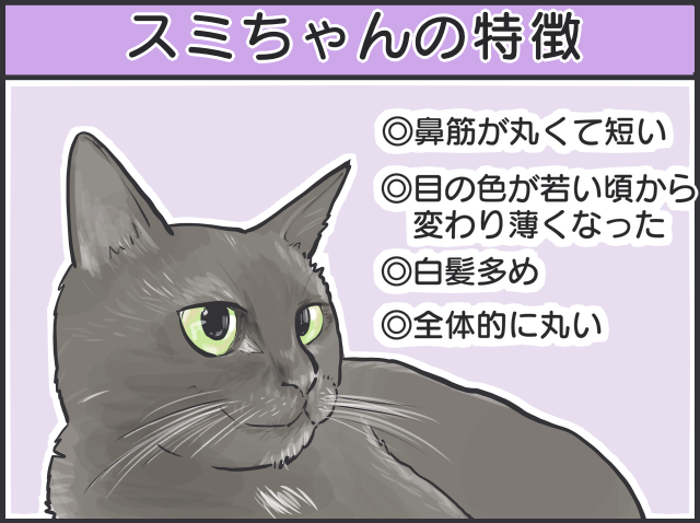 黒猫はみんな同じ顔!? 一緒に住む家族だからこそわかる「うちの子の見分け方」／フニャコ 黒猫の見分け2.PNG