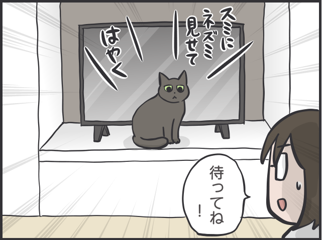 猫たちは普段どんなことを考えているの？ 猫目線で想像してみると...愛おしすぎる！／フニャコ 猫目線3.PNG