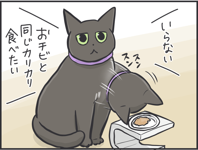 食いしん坊の愛猫が巨大化！ 多頭飼い猫の食事量コントロールって難しい／フニャコ 2匹の猫と食事5.PNG