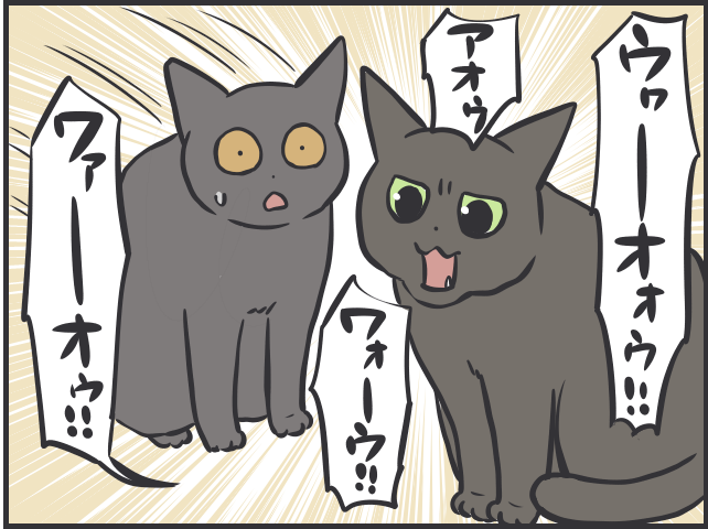 猫たちは普段どんなことを考えているの？ 猫目線で想像してみると...愛おしすぎる！／フニャコ 猫目線6.PNG
