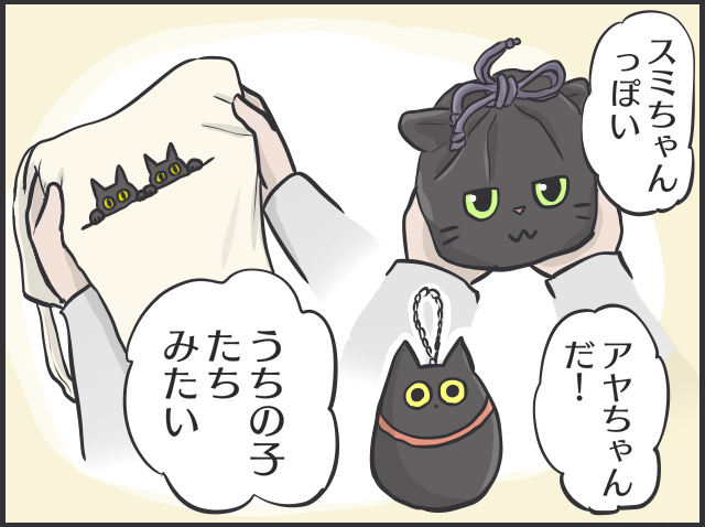 「猫かと思ったら物」「夜は闇に紛れる」2匹の黒猫と暮らす私が見つけた「黒猫あるある」／フニャコ 黒猫の魅力7.PNG