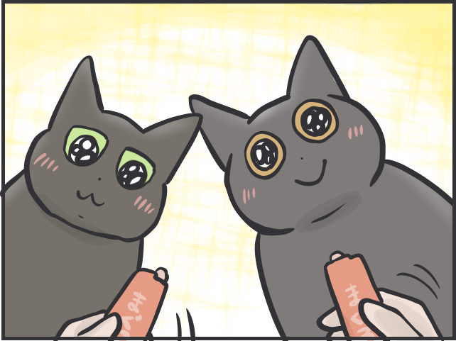 「猫はクール」と言われるけど...猫だって実は表情豊かだと思う理由／フニャコ 猫の表情8.PNG