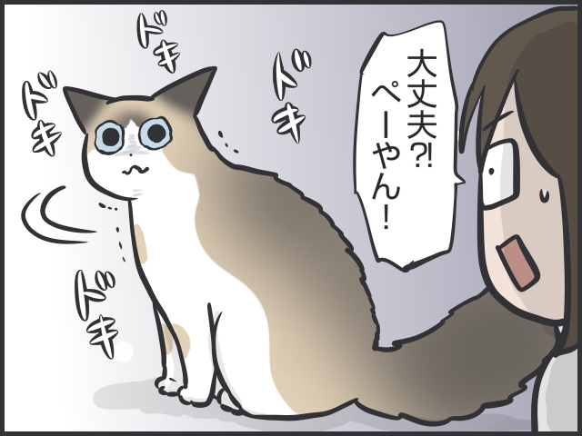 「猫はクール」と言われるけど...猫だって実は表情豊かだと思う理由／フニャコ 猫の表情2.PNG