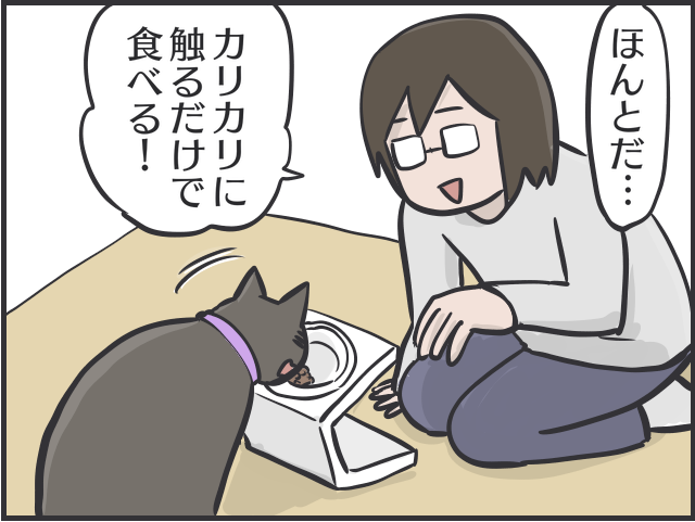 足腰の弱りは感じるけど...14歳のシニア猫の愛おしすぎる「変化」／フニャコ シニア猫6.PNG