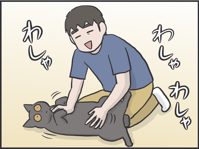 猫たちに一番愛情を注いでいるのは私なのに！夫と私への「扱いの格差」が納得いかない！／フニャコ 猫に甘えてもらえない私6.PNG