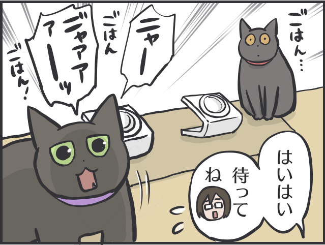 寄ってくるのはご飯の時だけ！塩対応すぎる猫たちに内心やきもきすることも／フニャコ 猫って本当に自由2.PNG