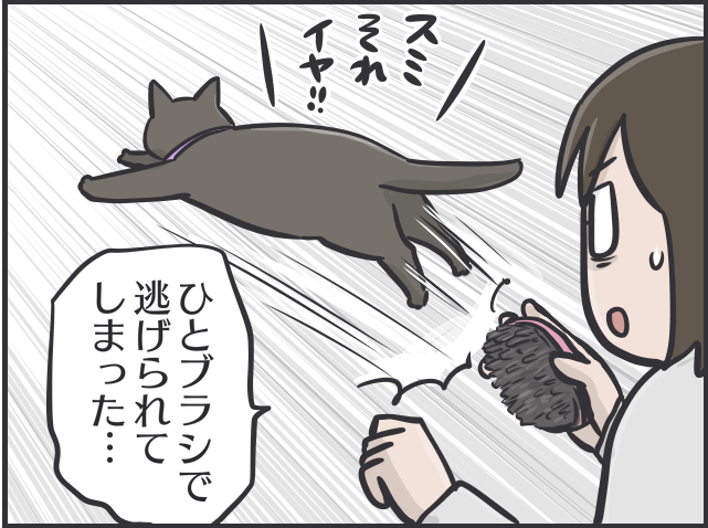 【2匹の黒猫とのくらし】ちょっと撫でただけで大量の抜け毛！ 換毛期はブラッシングも一苦労／フニャコ 換毛期6.PNG