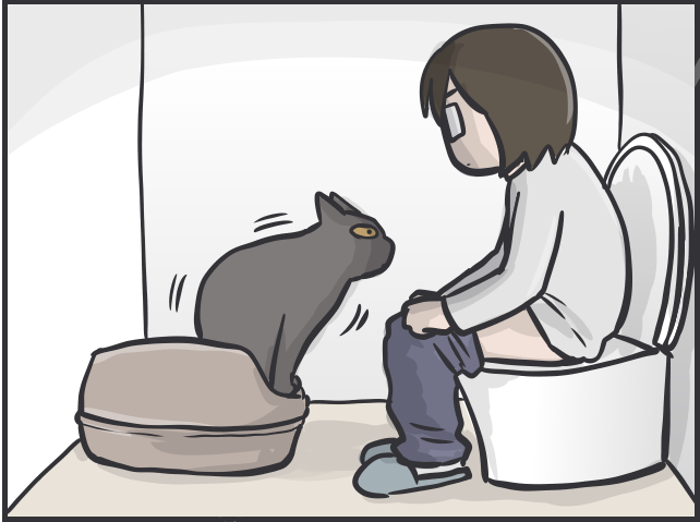 愛猫との"相席"がルーティンに。我が家のトイレ内に猫のトイレを設置してみたら...／フニャコ トイレスタイル5.PNG