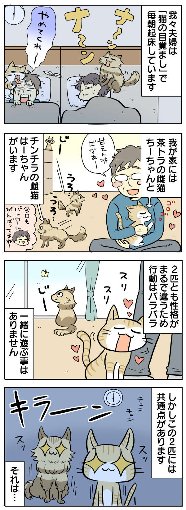 「猫との暮らし」の現実。朝6時に肉球でムニムニで目覚まし...ああ、幸せ【漫画】 No.283_1.jpg