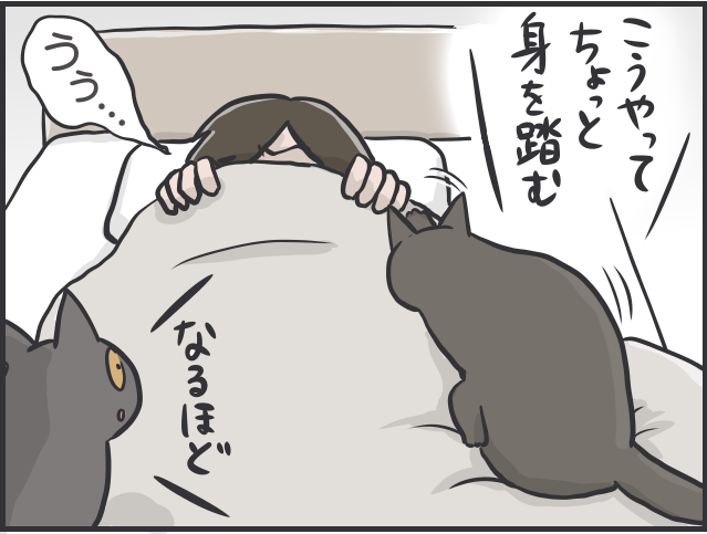 猫たちは普段どんなことを考えているの？ 猫目線で想像してみると...愛おしすぎる！／フニャコ 猫目線2.PNG