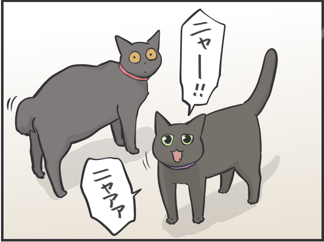 黒猫はみんな同じ顔!? 一緒に住む家族だからこそわかる「うちの子の見分け方」／フニャコ 黒猫の見分け5.PNG