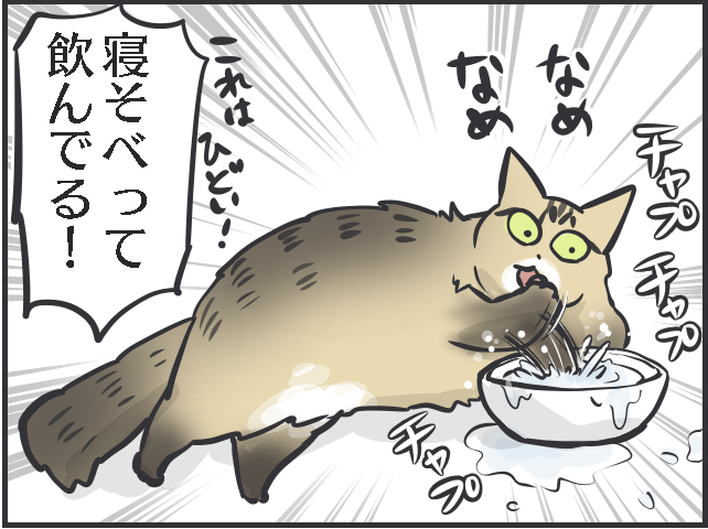 「寝そべって水を飲んでいる！」三猫三様!? 猫たちの「水飲み事情」／フニャコ