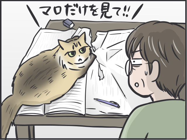 甘えモードと攻撃モードの落差よ...！いじらしくもツンデレな実家の猫のこと／フニャコ ツンデレマロと母4.PNG