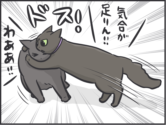 足腰の弱りは感じるけど...14歳のシニア猫の愛おしすぎる「変化」／フニャコ シニア猫4.PNG