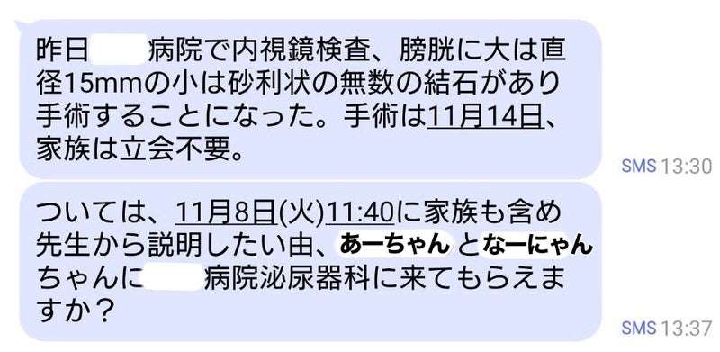 「勝手にポックリ逝く！」と啖呵を切っていた父だけど、ついに家族に頼らざるを得ない時が...／ワフウフ image0.jpeg